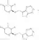 Fig. 331 - PIPERIDINE-2,6-DIONE DERIVATIVES WHICH BIND TO CEREBLON, AND METHODS OF USE THEREOF