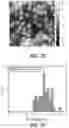 Fig. 06 - IRON OXIDE NANOPARTICLE FOR TARGETED CHEMO-IMMUNOTHERAPY