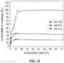 Fig. 08 - IRON OXIDE NANOPARTICLE FOR TARGETED CHEMO-IMMUNOTHERAPY