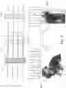 Fig. 06 - Dual-sided imaging thin film display structure