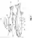 Fig. 02 - Fish Lures and Methods for Making Fish Lures and Luring Fish