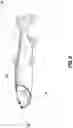 Fig. 07 - Fish Lures and Methods for Making Fish Lures and Luring Fish