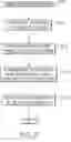 Fig. 04 - Personalized parameter modeling methods and related devices and systems