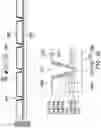 Fig. 29 - Semiconductor package and manufacturing method thereof