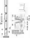 Fig. 30 - Semiconductor package and manufacturing method thereof