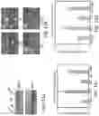 Fig. 09 - Stimulation of Human Meibomian Gland Function