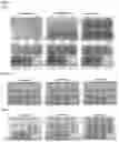 Fig. 06 - COMPOUNDS AND USES THEREOF