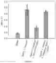 Fig. 07 - SYSTEM AND METHOD FOR SCREENING OF PROTEIN-LIGAND INTERACTIONS USING PARA-HYDROGEN POLARIZATION AND NMR