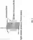 Fig. 04 - Light-sheet photonic-force optical coherence elastography