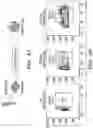 Fig. 04 - STROMA-FREE T CELL DIFFERENTIATION FROM HUMAN PLURIPOTENT STEM CELLS