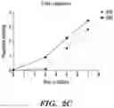 Fig. 05 - STROMA-FREE T CELL DIFFERENTIATION FROM HUMAN PLURIPOTENT STEM CELLS