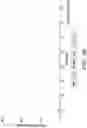 Fig. 13 - STROMA-FREE T CELL DIFFERENTIATION FROM HUMAN PLURIPOTENT STEM CELLS