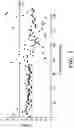 Fig. 15 - STROMA-FREE T CELL DIFFERENTIATION FROM HUMAN PLURIPOTENT STEM CELLS