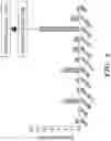 Fig. 16 - STROMA-FREE T CELL DIFFERENTIATION FROM HUMAN PLURIPOTENT STEM CELLS