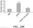 Fig. 19 - STROMA-FREE T CELL DIFFERENTIATION FROM HUMAN PLURIPOTENT STEM CELLS