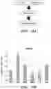 Fig. 22 - STROMA-FREE T CELL DIFFERENTIATION FROM HUMAN PLURIPOTENT STEM CELLS