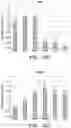 Fig. 23 - STROMA-FREE T CELL DIFFERENTIATION FROM HUMAN PLURIPOTENT STEM CELLS
