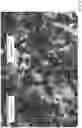 Fig. 09 - RECOMBINANT SILK SOLIDS AND FILMS