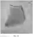 Fig. 22 - RECOMBINANT SILK SOLIDS AND FILMS