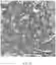 Fig. 25 - RECOMBINANT SILK SOLIDS AND FILMS