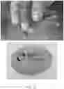 Fig. 26 - RECOMBINANT SILK SOLIDS AND FILMS