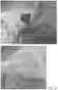 Fig. 29 - RECOMBINANT SILK SOLIDS AND FILMS