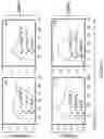 Fig. 08 - MMP-9 ANTIBODIES AND METHODS OF USE THEREOF