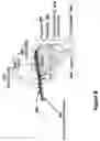 Fig. 09 - PROGRAMMABLE DEVICE FOR PATHOGEN ?POINT-OF-CARE? TESTING