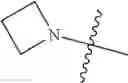 Fig. 847 - Functionalized heterocycles as antiviral agents