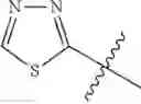 Fig. 895 - Functionalized heterocycles as antiviral agents