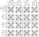 Fig. 01 - DUAL/TRI-BAND ANTENNA ARRAY ON A SHARED APERTURE