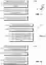 Fig. 12 - Partitioning, processing, and protecting media data