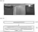 Fig. 02 - DEGENERATE CELL MANUFACTURING METHOD AND DEGENERATE CELL EVALUATION METHOD