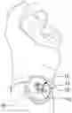 Fig. 01 - WEARABLE APPARATUS