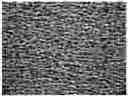 Fig. 01 - HIGH-SPEED PRINTABLE CARBON INK