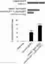 Fig. 01 - Methods and Compositions for Directed Genome Editing