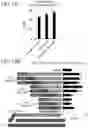 Fig. 16 - Methods and Compositions for Directed Genome Editing