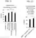 Fig. 30 - Methods and Compositions for Directed Genome Editing