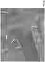 Fig. 08 - AUTOMATIC AIRCRAFT TAXIING