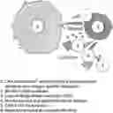 Fig. 01 - METHODS OF MAKING AND USING REGULATORY T CELLS AND EFFECTOR T CELLS HAVING CHIMERIC ANTIGEN RECEPTORS TARGETED TO CD6, CD19, AND/OR AN IL-13R FOR TREATMENT OF AUTOIMMUNE DISORDERS AND CANCERS