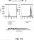Fig. 19 - METHODS OF MAKING AND USING REGULATORY T CELLS AND EFFECTOR T CELLS HAVING CHIMERIC ANTIGEN RECEPTORS TARGETED TO CD6, CD19, AND/OR AN IL-13R FOR TREATMENT OF AUTOIMMUNE DISORDERS AND CANCERS