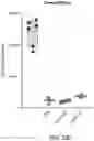 Fig. 35 - METHODS OF MAKING AND USING REGULATORY T CELLS AND EFFECTOR T CELLS HAVING CHIMERIC ANTIGEN RECEPTORS TARGETED TO CD6, CD19, AND/OR AN IL-13R FOR TREATMENT OF AUTOIMMUNE DISORDERS AND CANCERS