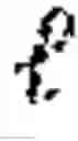 Fig. 32 - Context-aware volumetric style transfer for estimating single volume surrogates of lung function