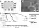 Fig. 01 - SYNTHESIS OF FINNED ZEOLITE CRYSTALS