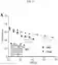 Fig. 04 - SYNTHESIS OF FINNED ZEOLITE CRYSTALS
