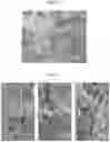 Fig. 13 - SYNTHESIS OF FINNED ZEOLITE CRYSTALS