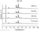 Fig. 14 - SYNTHESIS OF FINNED ZEOLITE CRYSTALS