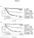 Fig. 02 - DIAGNOSTIC TEST FOR PREDICTING METASTASIS AND RECURRENCE IN CUTANEOUS MELANOMA