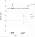 Fig. 09 - Road-surface state determination apparatus
