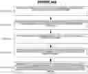 Fig. 47 - INSECT PRODUCTION SYSTEMS AND METHODS